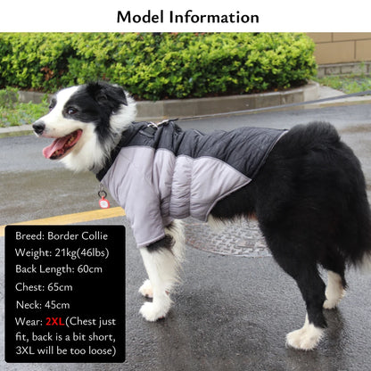 Dog Winter Coat