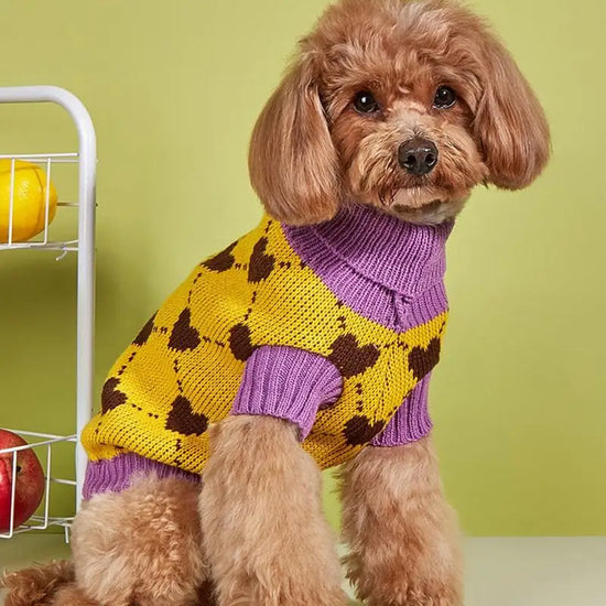 Dog Knitted Sweater