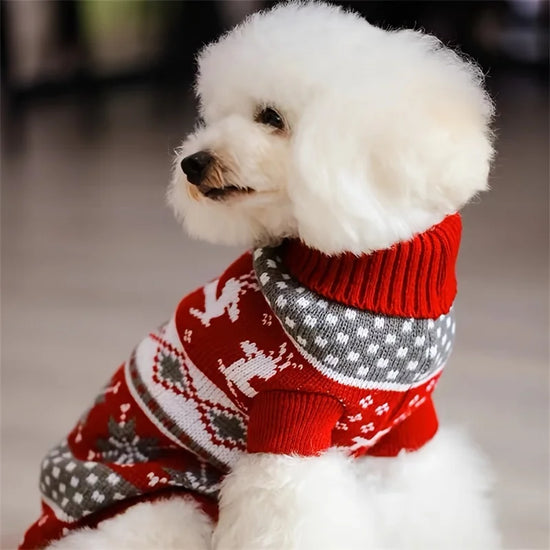 Christmas Style Pet Sweater