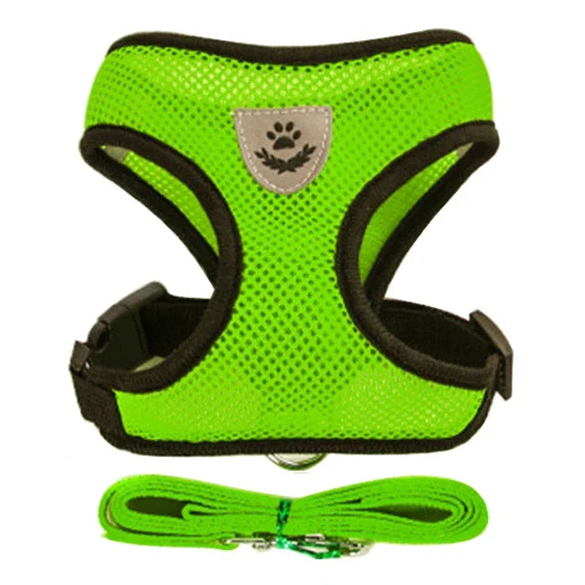 Dog Harness &amp; Leash Set