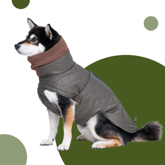 Waterproof Dog Jacket