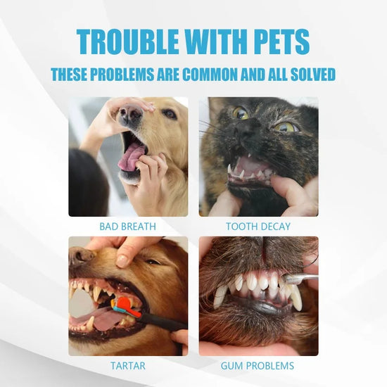 Pet Toothpaste & Oral Care Set