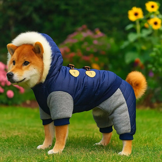 Waterproof Windproof Dog Jumpsuit