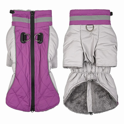 Dog Winter Coat