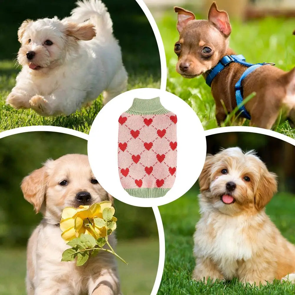 Dog Knitted Sweater
