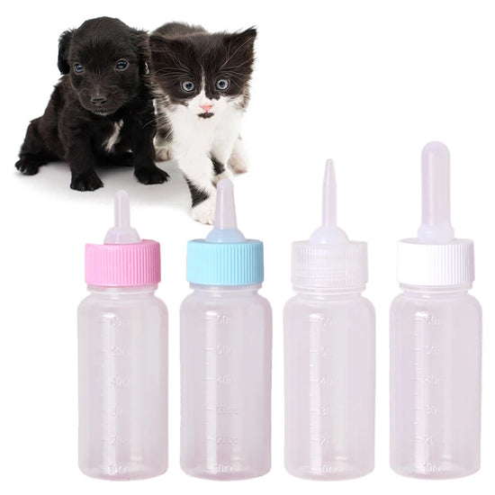 Pet Feeder Syringe Tablets & Deworming