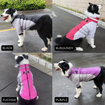 Dog Winter Coat