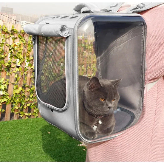 Pet Carrier  Backpack  Bag