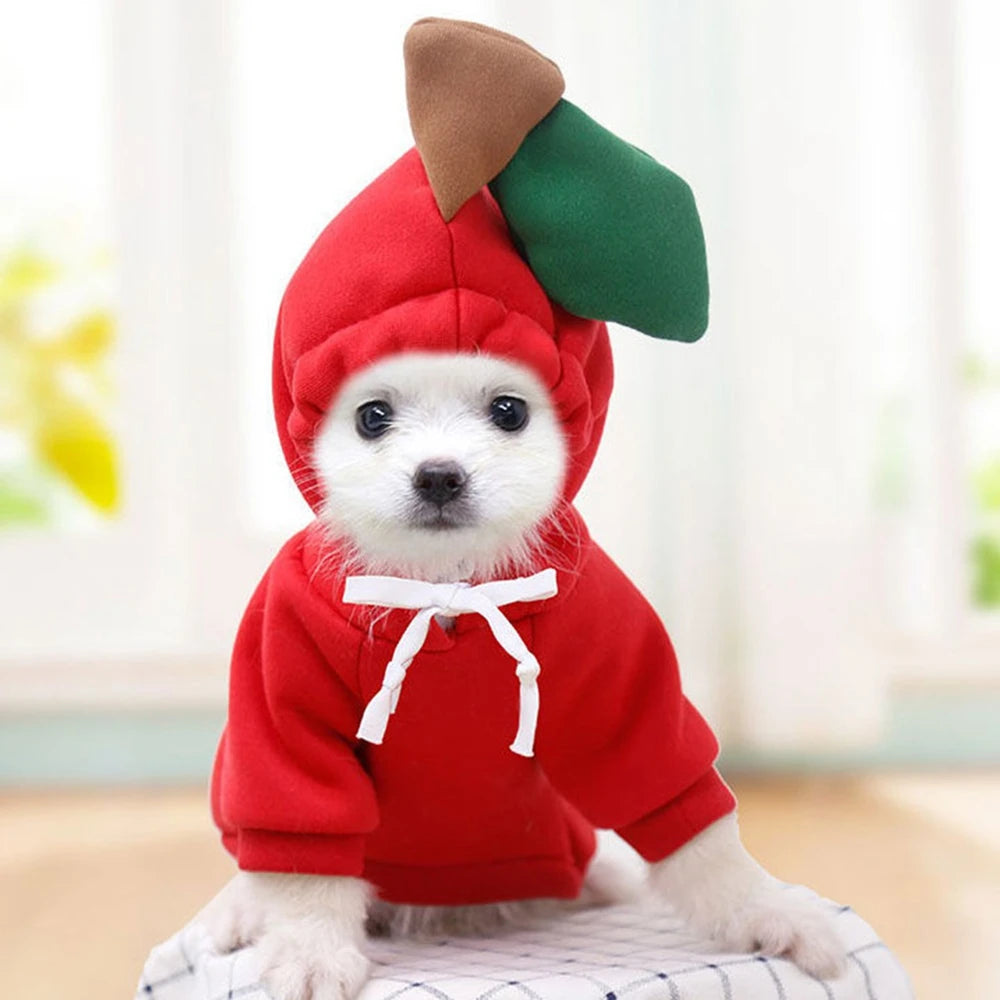 Winter Dog Sweatshirt