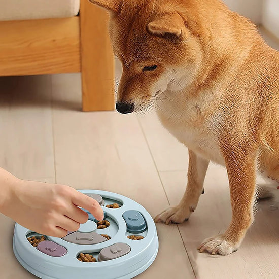 Interactive Dog Food Dispenser Toy