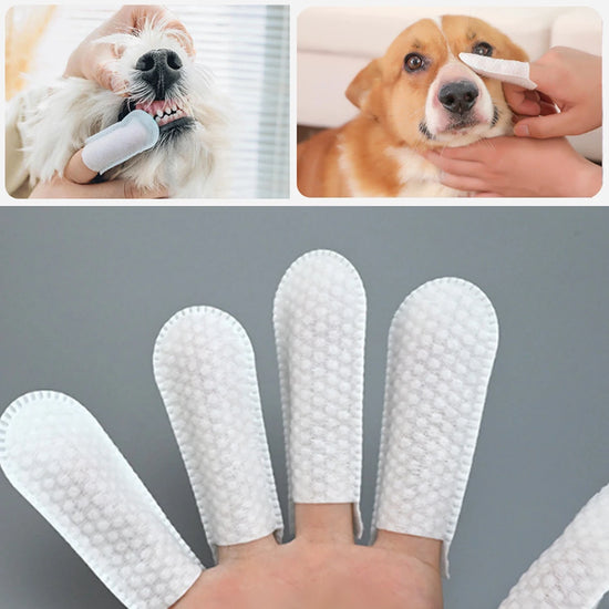 Pet Dental Finger Wipes