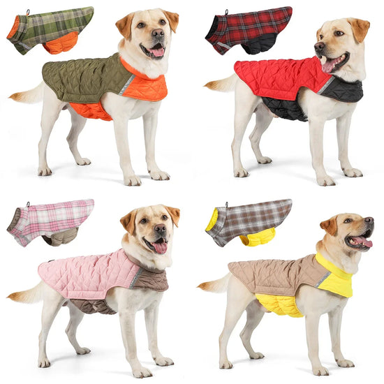 Warm Waterproof Dog Jacket