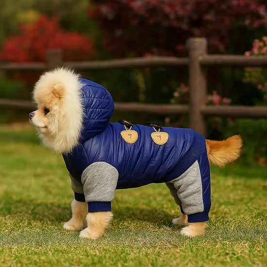 Thickened Hooded Dog Jacket