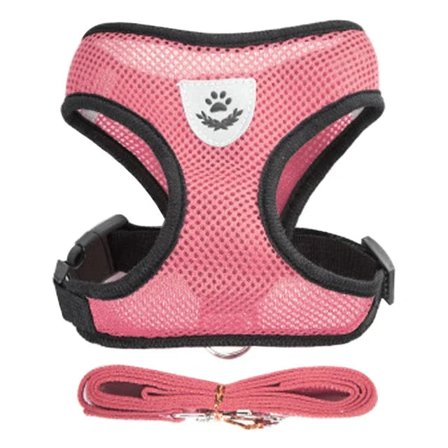 Dog Harness & Leash Set