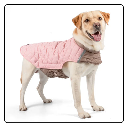 Warm Waterproof Dog Jacket