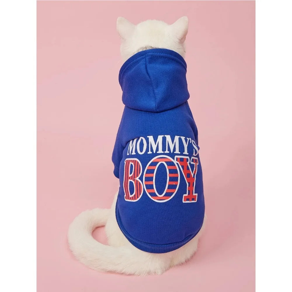 Pet Hoodie Outfit