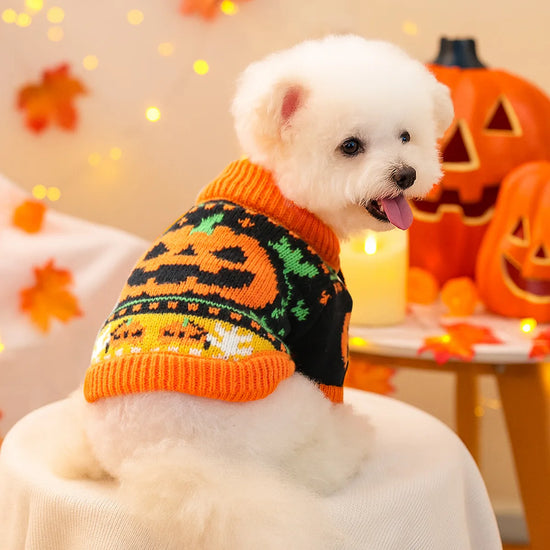 Cute Casual Pet Sweater