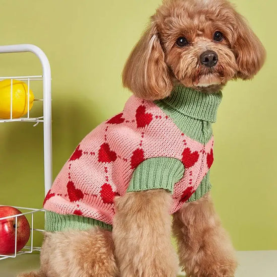 Dog Knitted Sweater