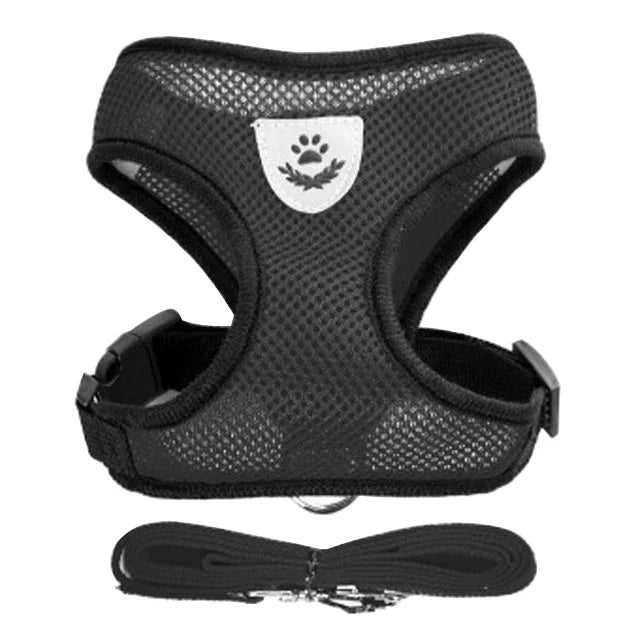 Dog Harness &amp; Leash Set