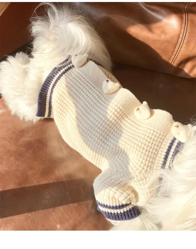 Pet Bear Sweater
