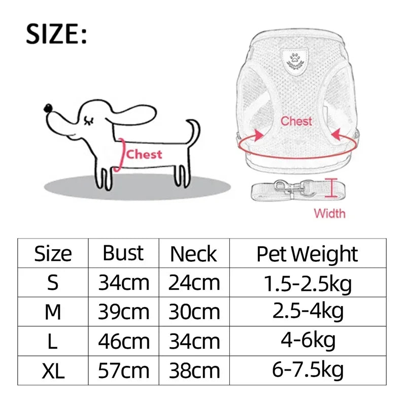 Dog Harness &amp; Leash Set
