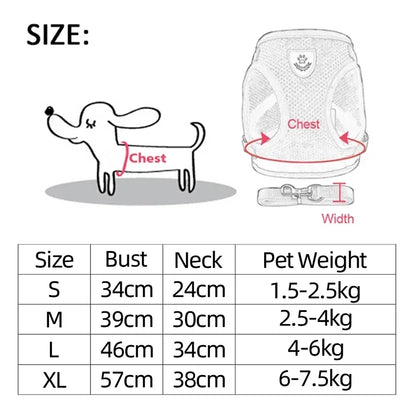 Dog Harness &amp; Leash Set