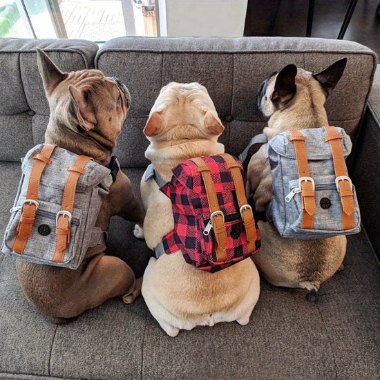 Multifunctional Pet Dog Backpack Pet Carrier Puppy Bag Dogs Outdoor Travel Dog Snacks Backpack French Bulldog Dog Accessories