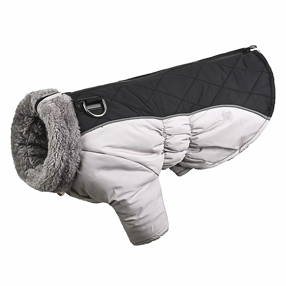 Dog Winter Coat