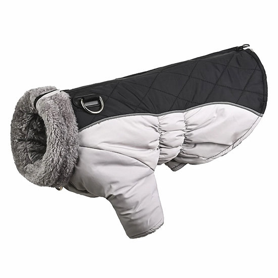 Dog Winter Coat