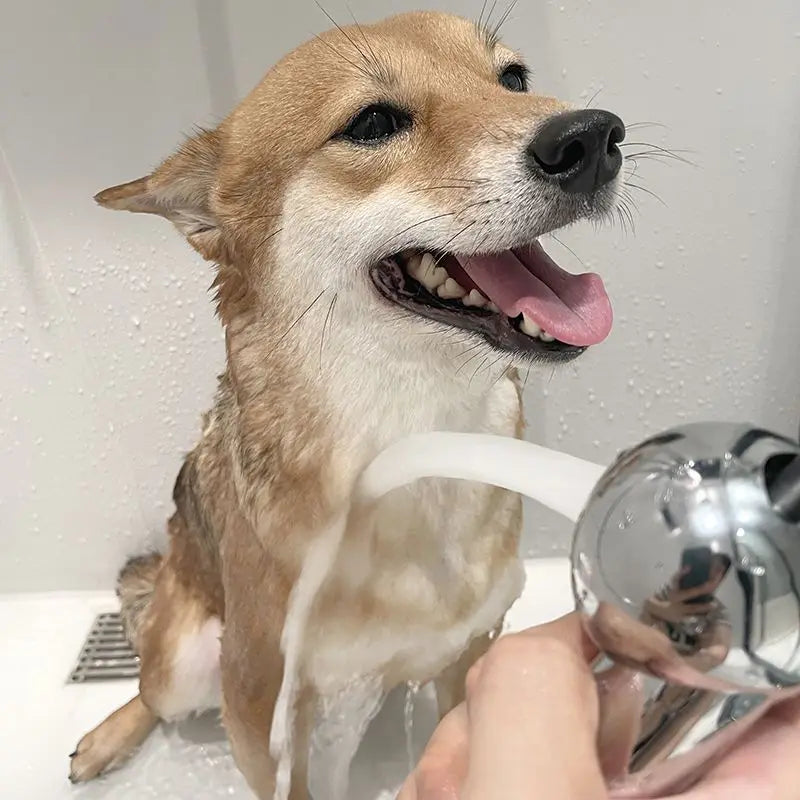 Soft Washing Pet Shower Sprayer