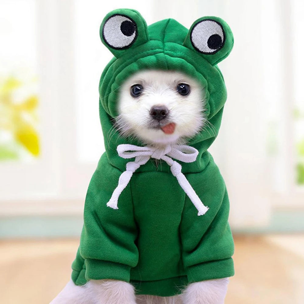 Winter Dog Sweatshirt